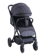 Прогулочная коляска Indigo Delta