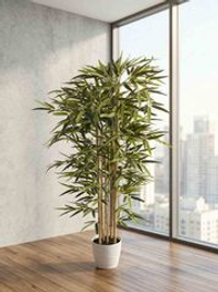 Дерево Бамбук светлый 130см в горшке