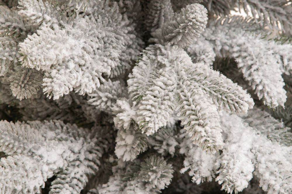 Заснеженная елка на ножке «Камилла» (литая хвоя с шишками) 1,5 м / 150 см