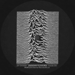 Joy Division / Unknown Pleasures (LP)