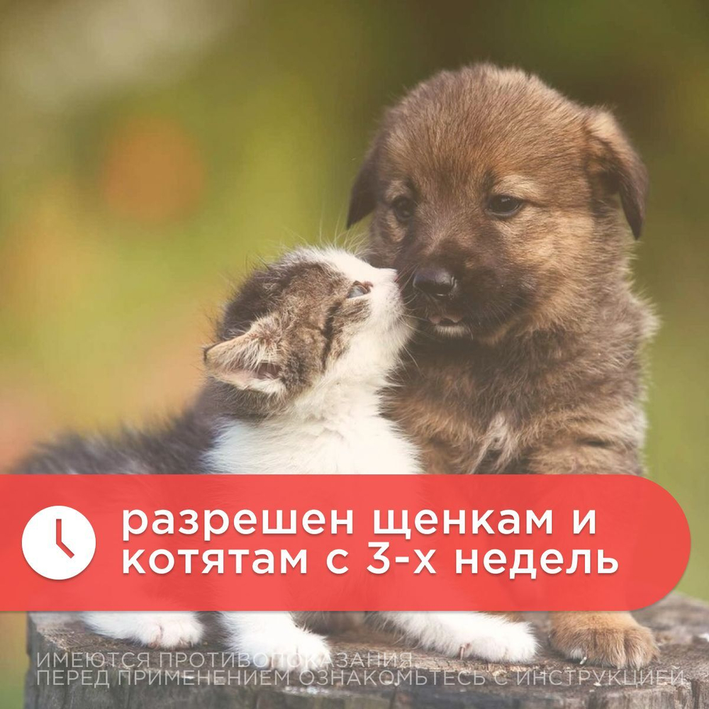 Таблетки от гельминтов Дирофен для кошек и собак 6табл по 200мг