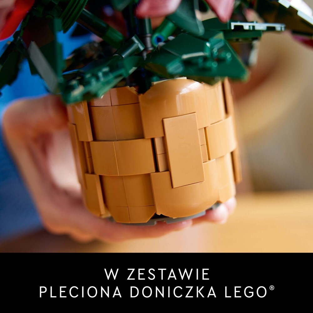 LEGO Botanicals - Вифлеемская звезда 10370