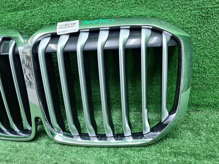 Решетка радиатора BMW X7 G07 (2019-2022)