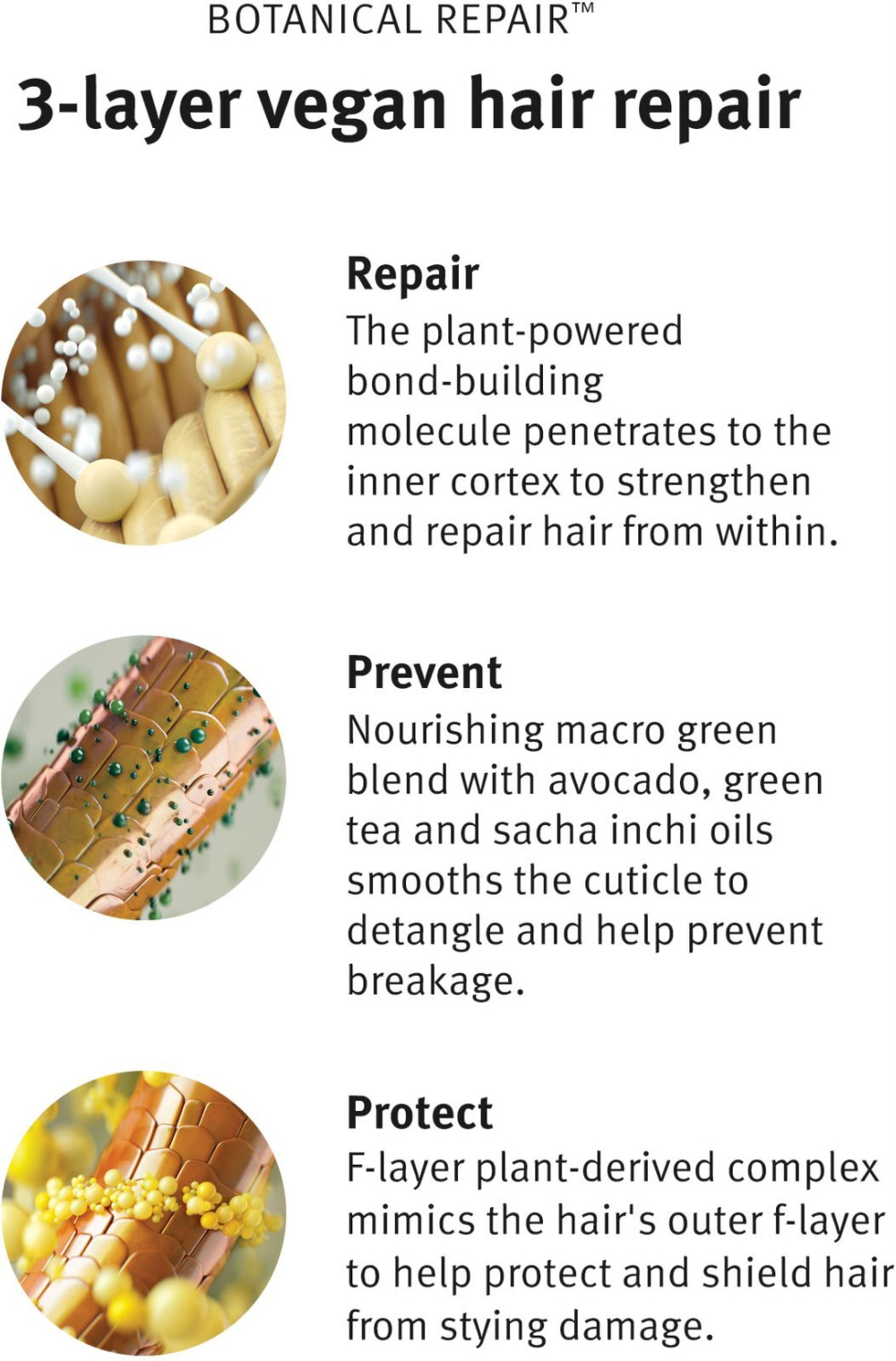 Aveda Botanical Repair Strengthening Shampoo - укрепляющий шампунь для поврежденных волос /   50  ml  / GTIN 018084019474