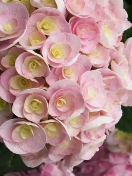 You & Me Love /Ю Энд Ми Лав