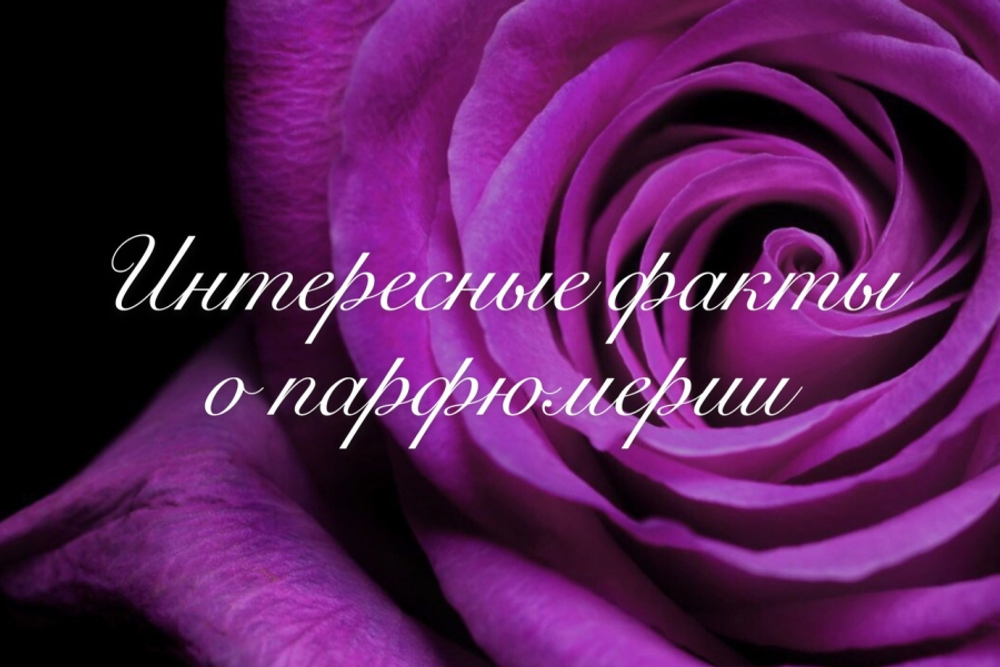 Интересные факты о парфюмерии