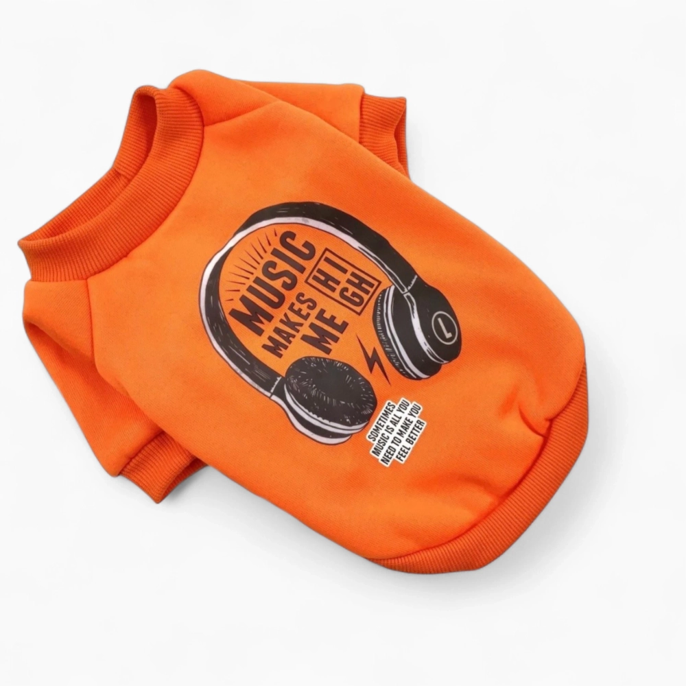 Толстовка «Music»