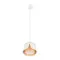 Подвесной светильник Arte Lamp AMAKS A8028SP-1WH