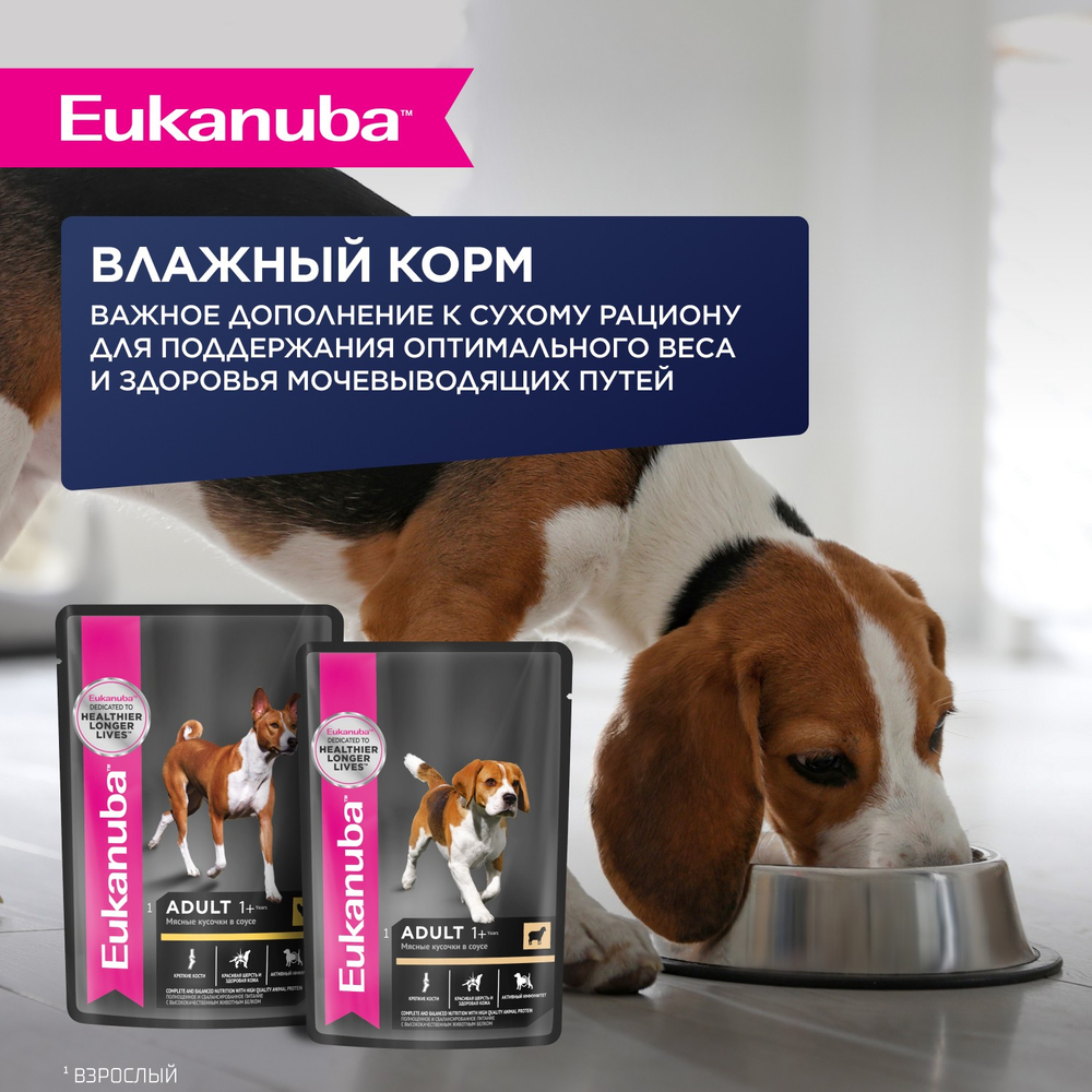 Сухой корм Eukanuba для взрослых собак крупных и очень крупных пород старше 1 года с ягненком 3 кг