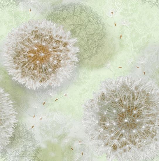 Обои бум 0,53х10 Одуванчики 828-04 зел