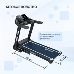 Беговая дорожка Wallaby TS300