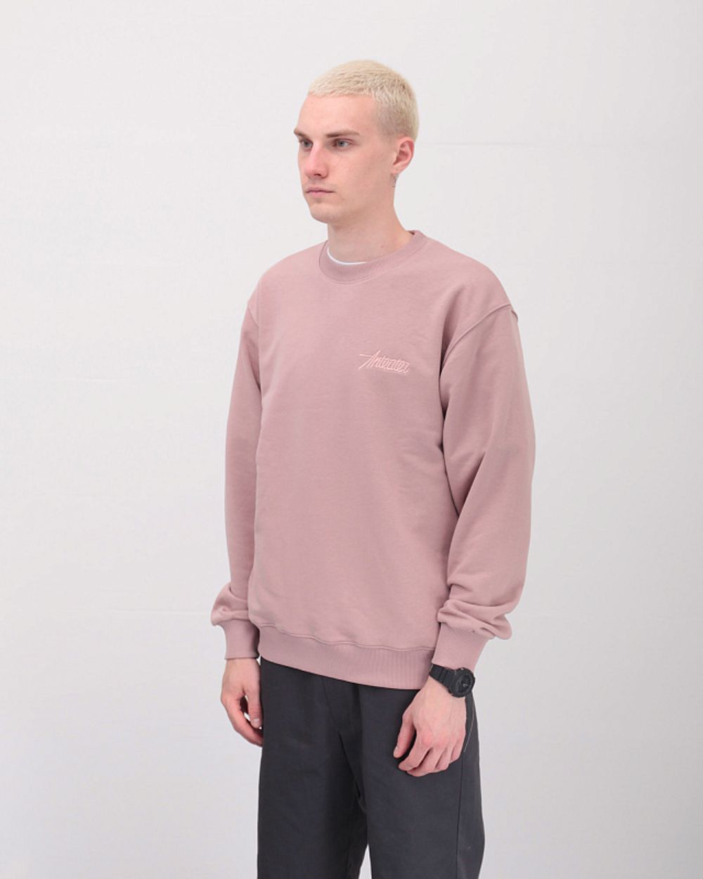 Толстовка ANTEATER Crewneck Пудра