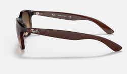 RAY-BAN ANDY RB4202 607313