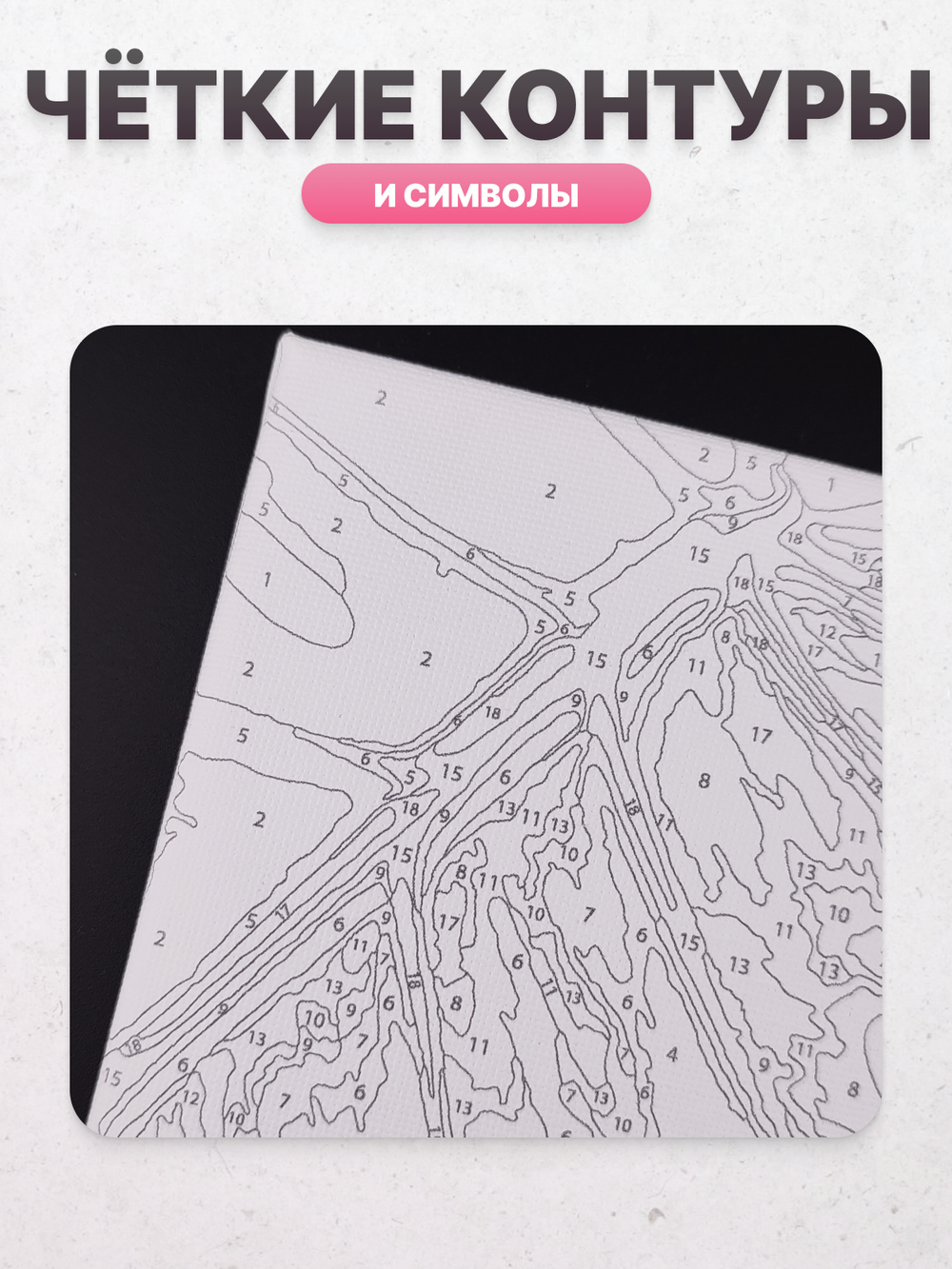 Монстера