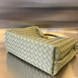 Bottega Veneta Medium Andiamo 32 cm