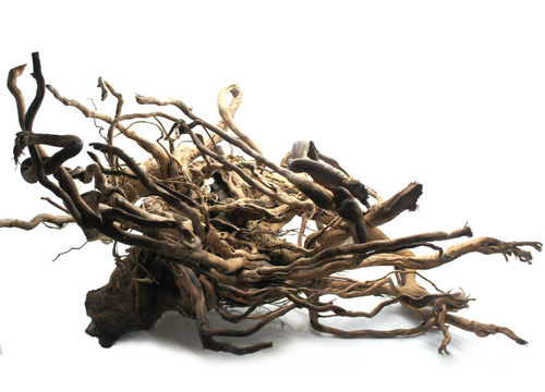 Коряга Чечил S, Prime, 80-120 см.