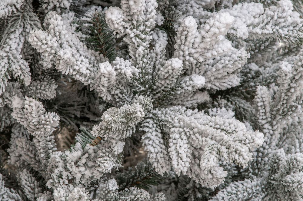 Заснеженная елка «Имперская» (литая+пвх) 180 см / 1.8 м