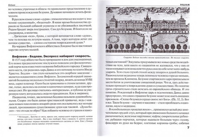 Бедлам. (Корабль дураков или ковчег спасения?). Юрий Воробьевский