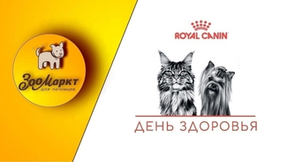 Акция «День здоровья» ул. Гашека, 8.