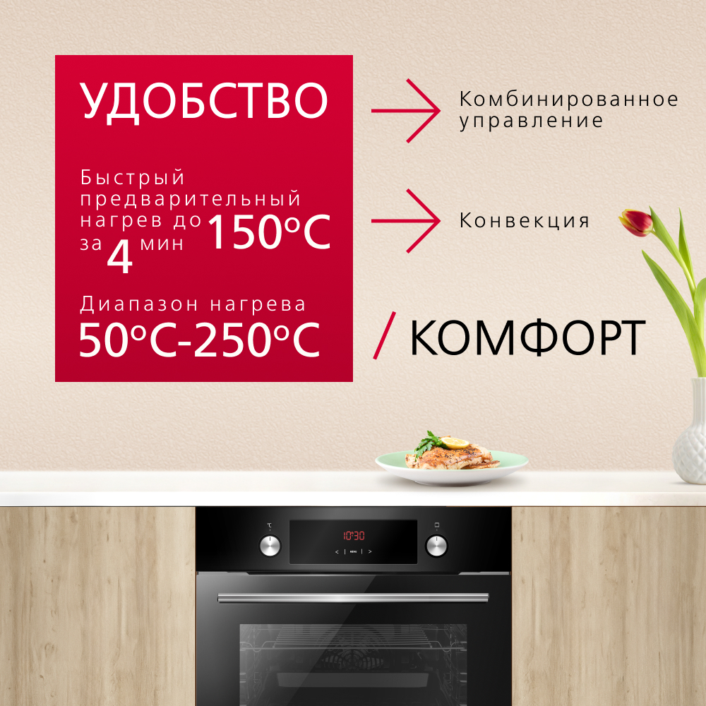 Духовой шкаф Hansa BOES68441