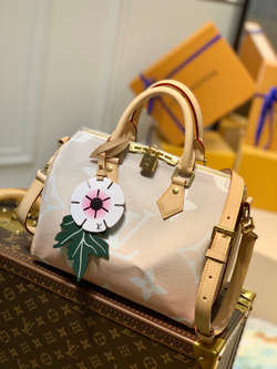 Louis Vuitton Speedy 25