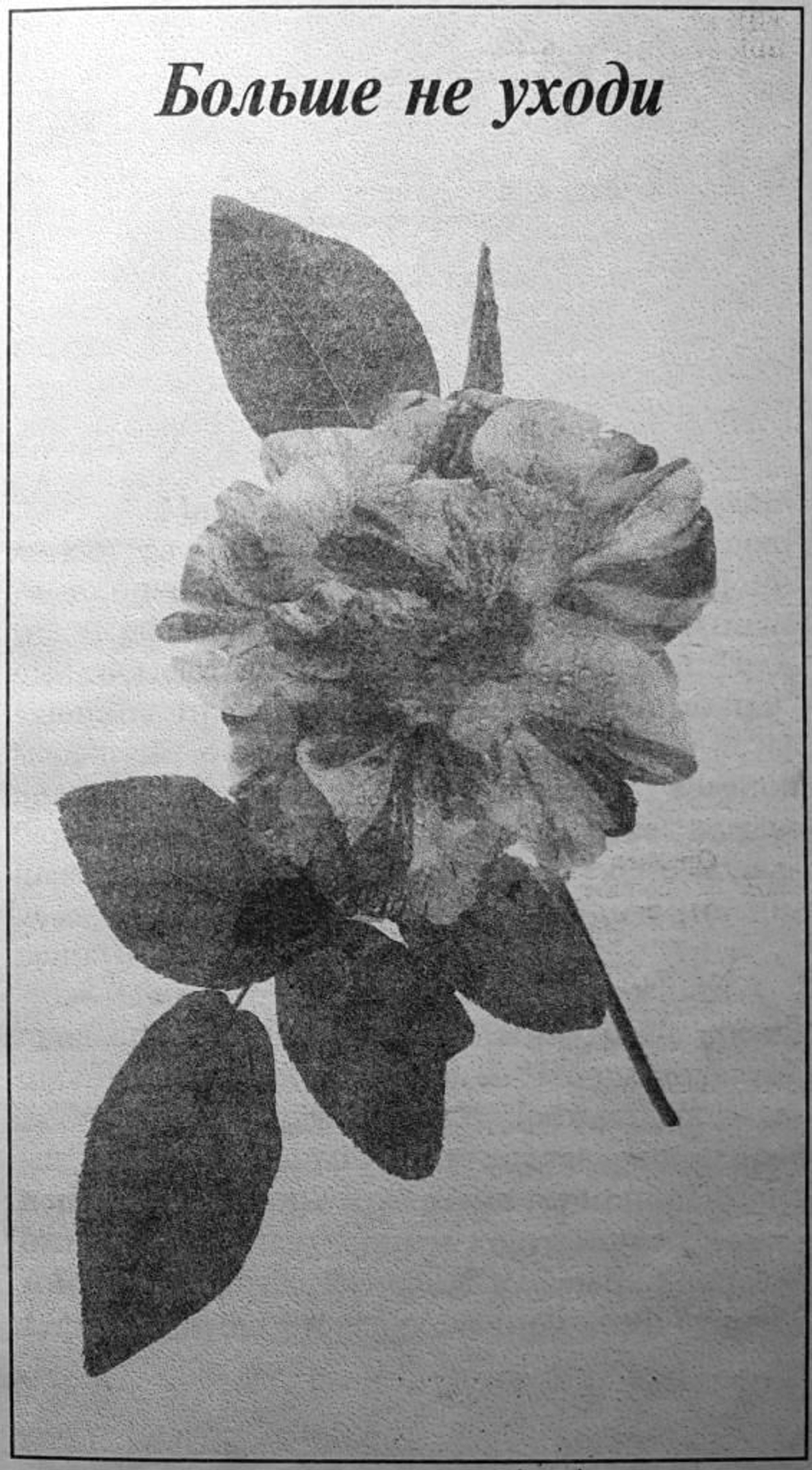 Больше не уходи