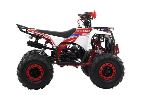 Квадроцикл MOTAX Grizlik A125
