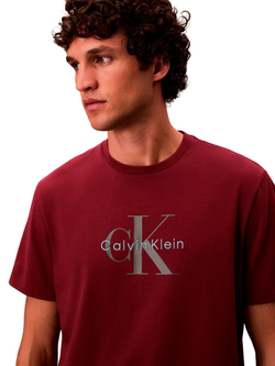 Футболка Calvin Klein Monologo Renaissance Red