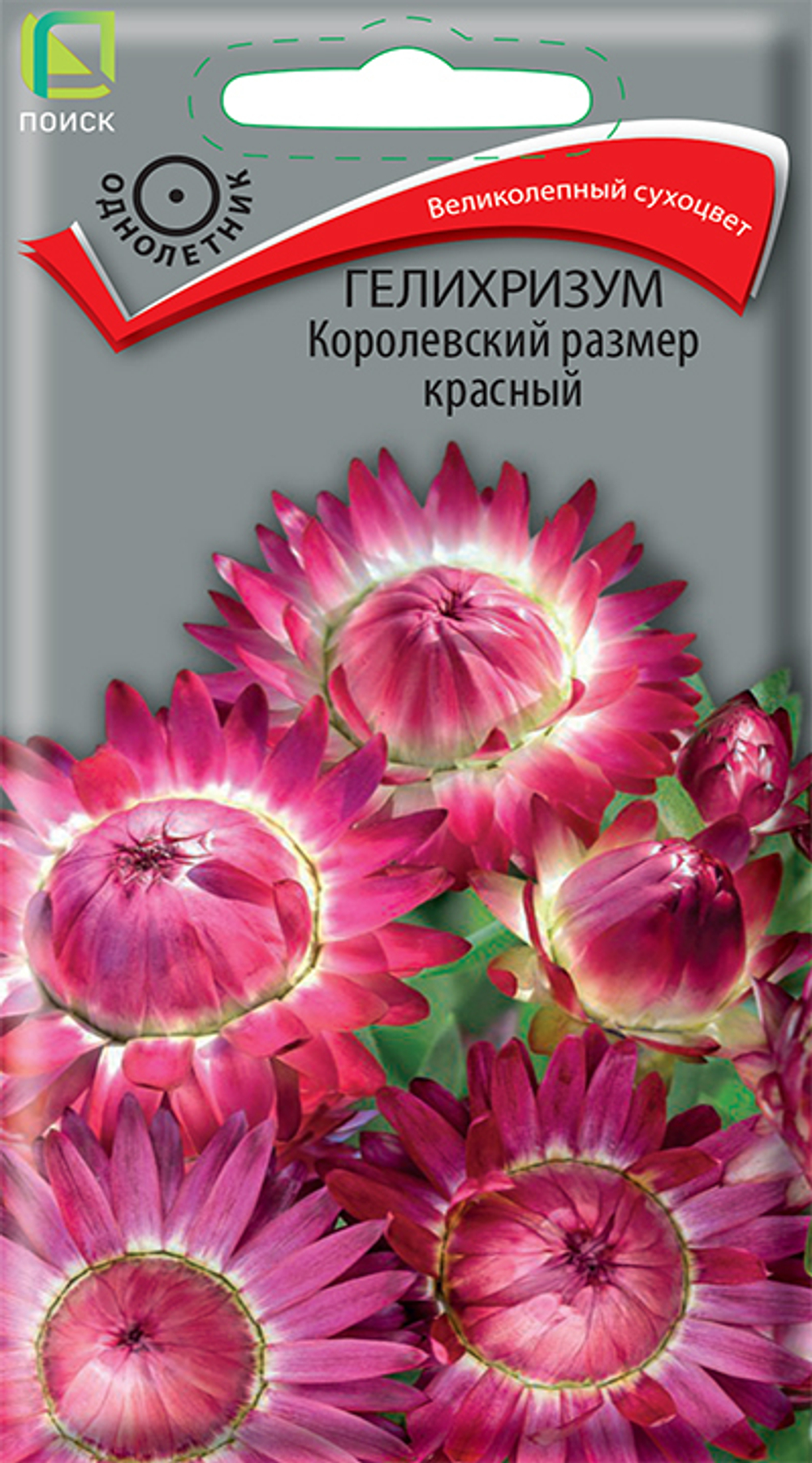 Гелихризум Королевский размер красный