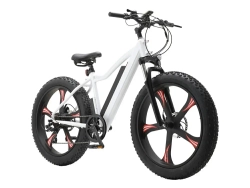 Электрофэтбайк eRace EM01W
