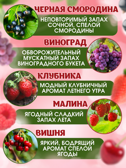 Набор отдушек Ягодный