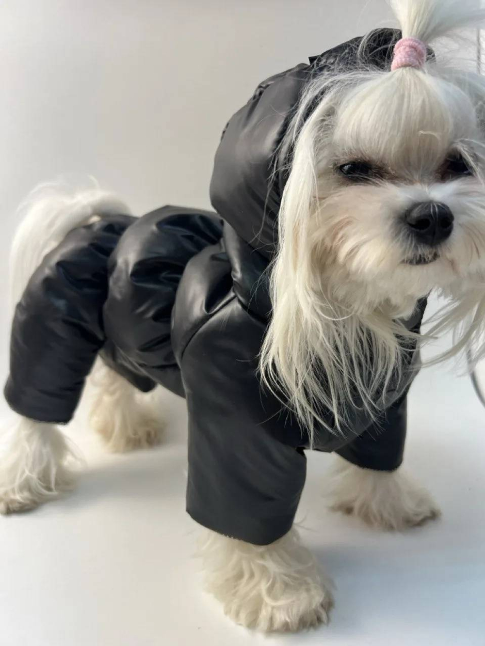 Зимний комбинезон для собак с капюшоном (девочка)