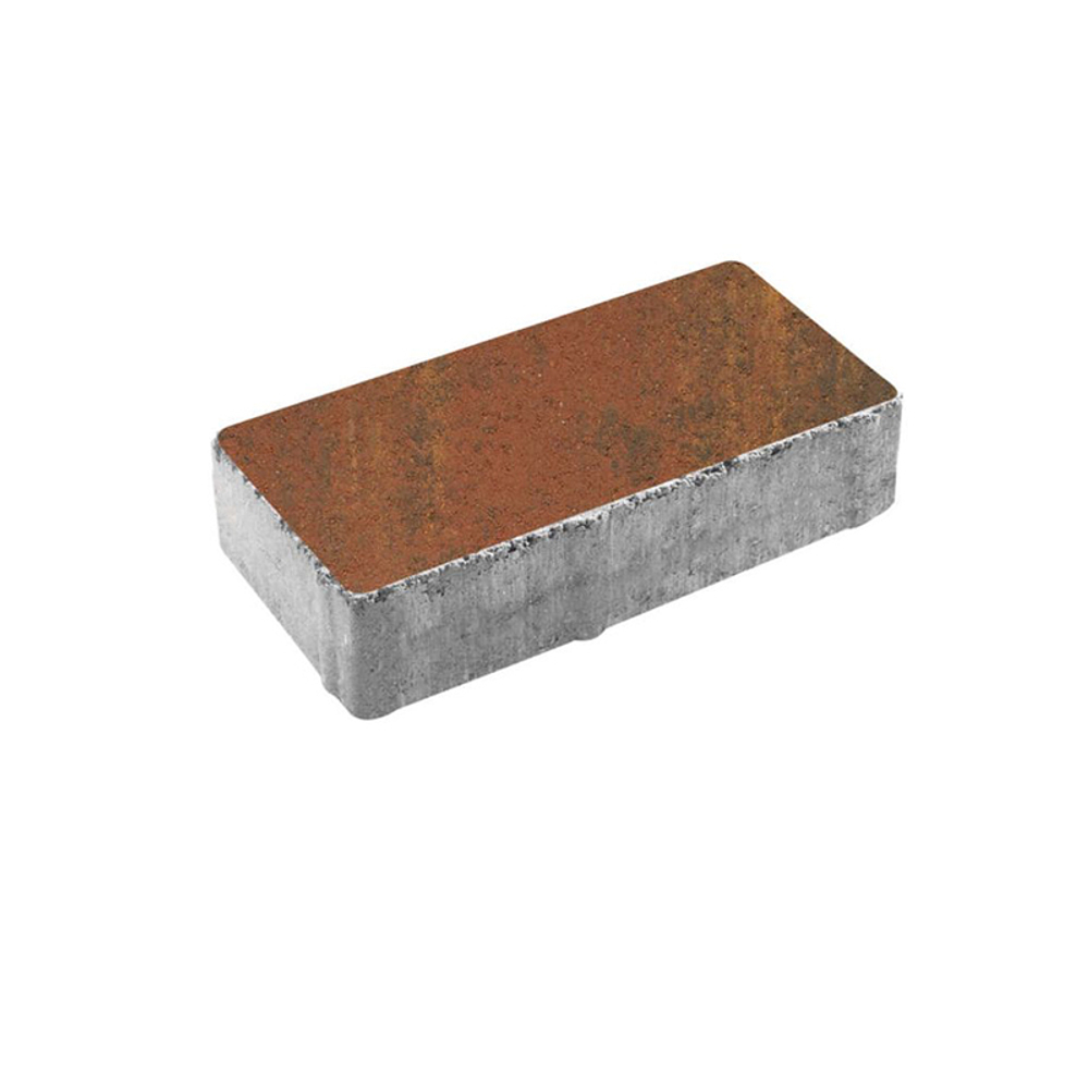 Тротуарная плитка ПРЯМОУГОЛЬНИК 200x100 мм - Листопад гладкий Арабская ночь