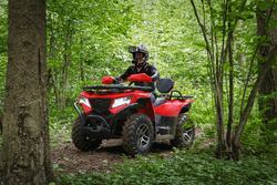 Квадроцикл SHARMAX Force 420 Cyber EFI