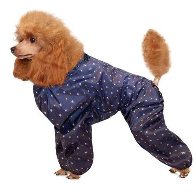 Комбинезон зимний  "Пудель", 31см, Gamma