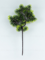 Ветка Бонсай