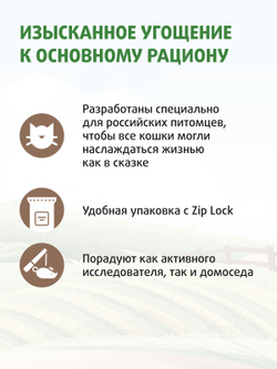 Лакомство Ферма кота Федора хрустящие подушечки для кошек и котят с паштетом из курицы 40 г