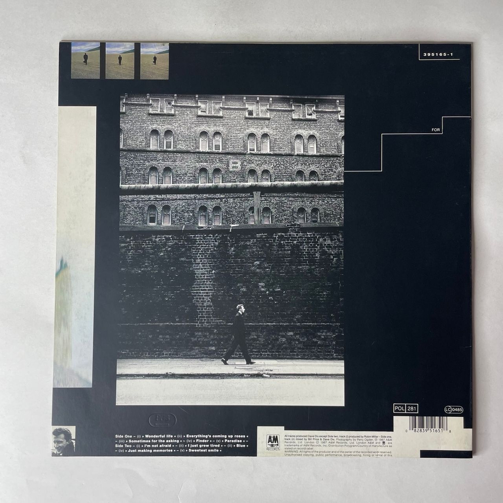 Винтажная виниловая пластинка LP Black Wonderful Life (Германия 1987)