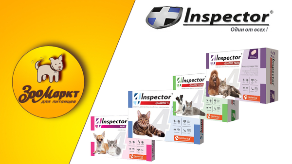 Акция Inspector Quadro K и Inspector Quadro Tabs Акция Inspector Quadro K и Inspector Quadro Tabs