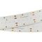 Светодиодная лента Arlight 25W/m 280LED/m 2835SMD теплый белый 2,5M 023403(2)