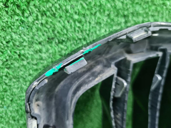 Решетка радиатора BMW X5 G05 (2018-2023)