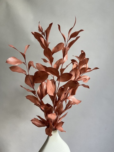 Рускус садовый стабилизированный бежевый