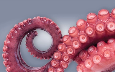 Морепродукты