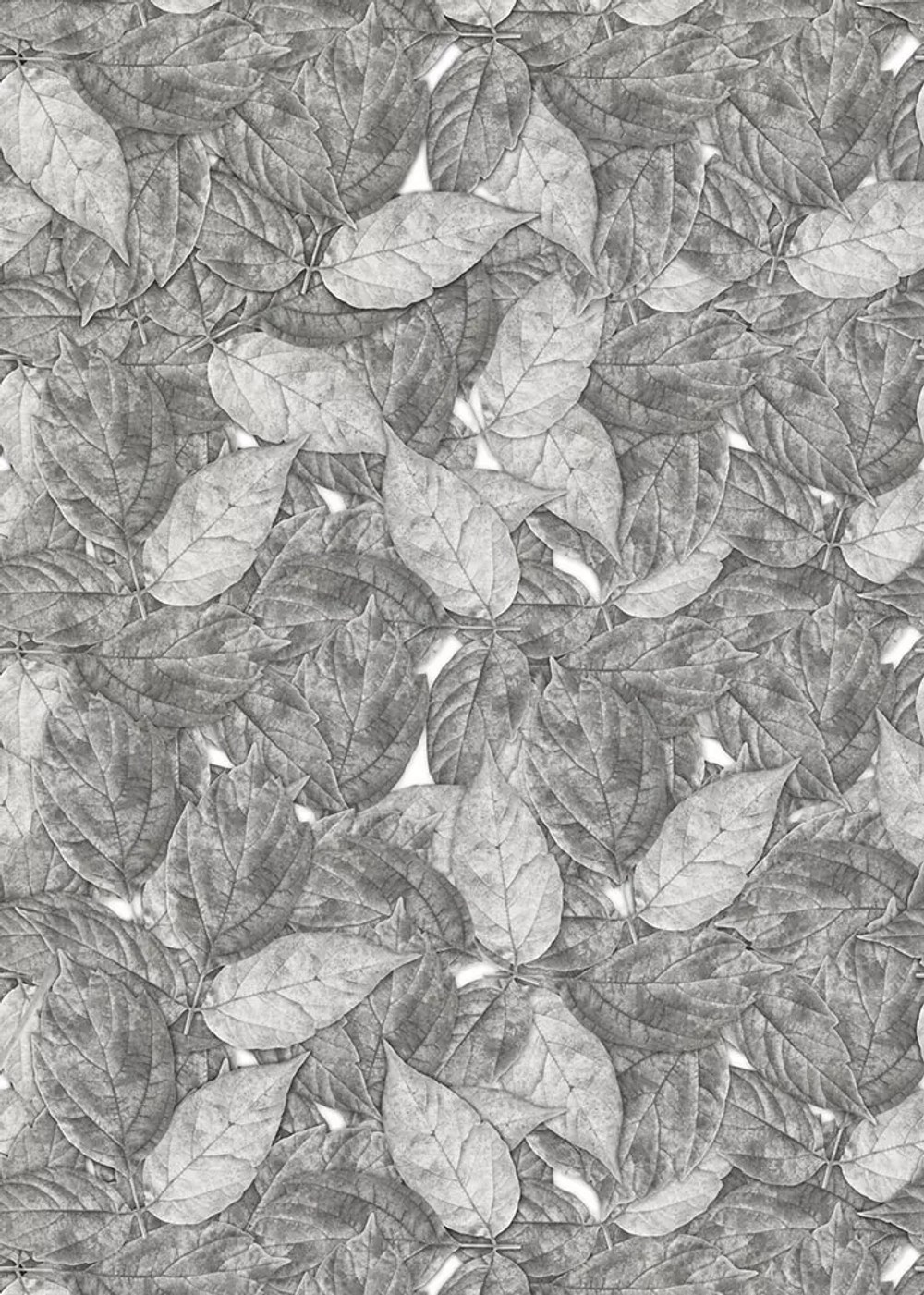 Цифровое панно ID Wall AUTUMN FOLIAGE MONOCHROME