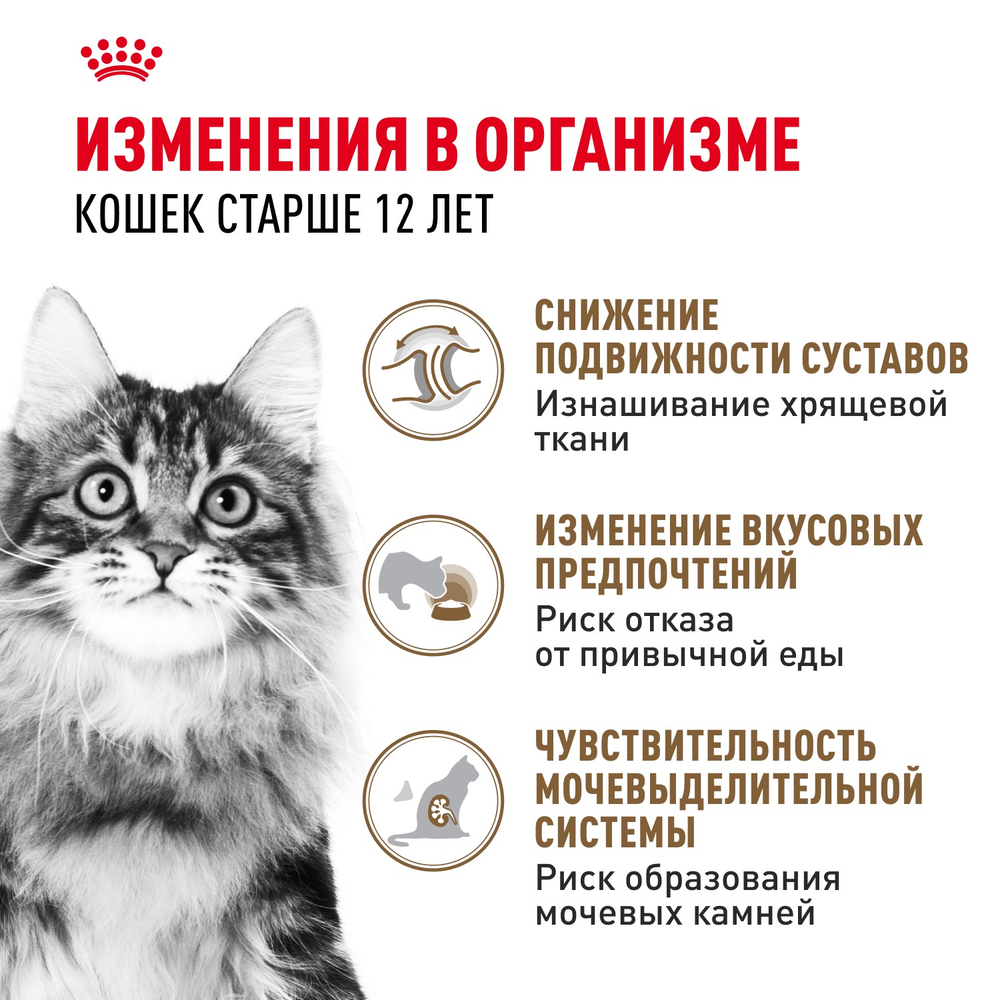 Royal Canin Ageing 12+ Эйджинг Корм влажный для взрослых кошек в возрасте старше 12 лет желе 85г