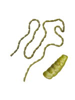 Приманка мягкая опарыш Berkley PowerBait Micro Power Maggot, 1 см, 110 шт, White