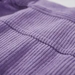 Шорты VELVET SERIES Фиолетовые