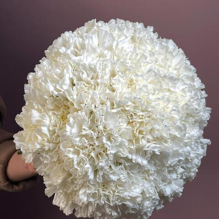 Свадебный букет из гвоздик (диантусов)