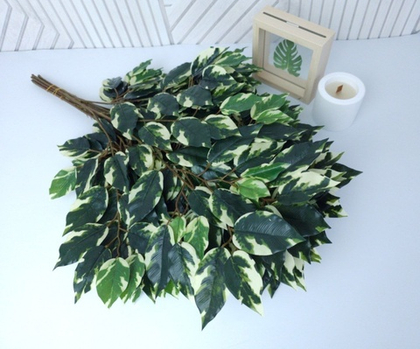 Фикус премиум пестрый / Арт 1003