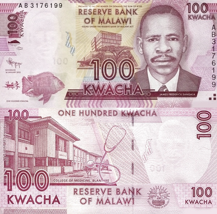 Малави 100 квача 2012-2013 Медицинский колледж UNC